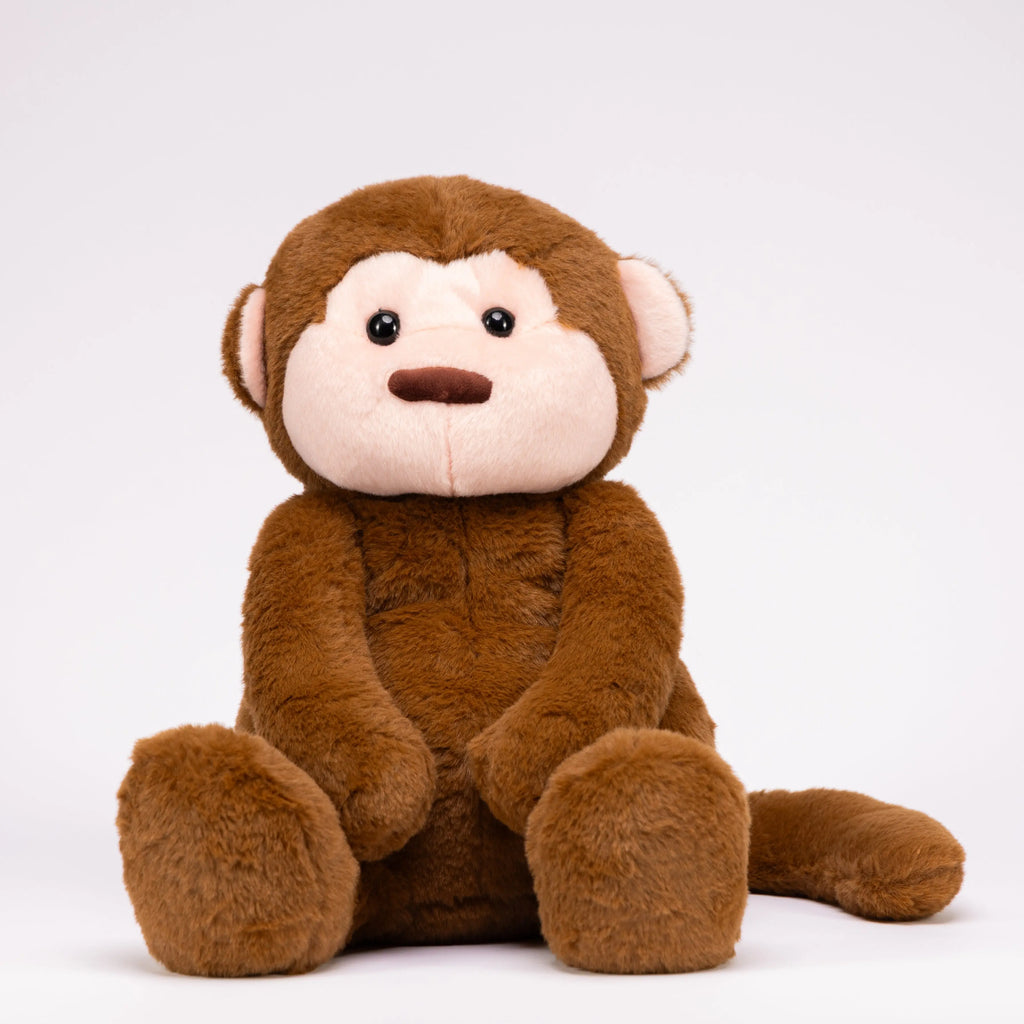 Motivational Monkey featured alone against a white studio background, highlighting its cheerful design.